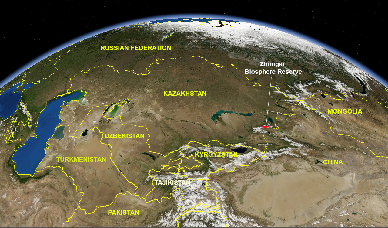 Биосферный резерват Жонгар