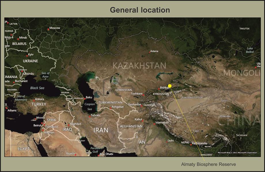 General location of Almaty BR1