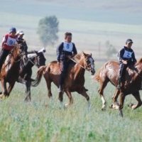 Национальные скачки "Байга" в Катон-Карагайском биосферном резервате (Сергей Стариков)