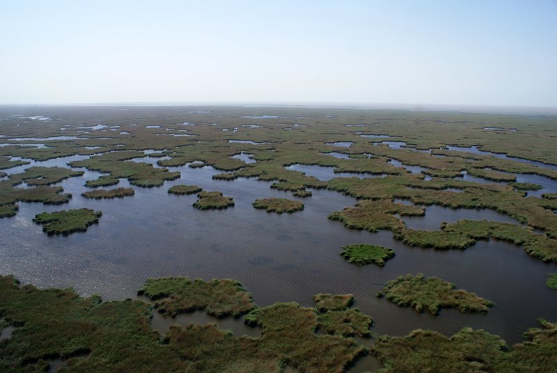 Место впадения волги в каспийское море