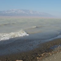 North coast of Zhalanashkol (by N. Berezovikov & M. Childebaev